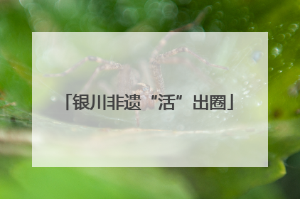 银川非遗“活”出圈