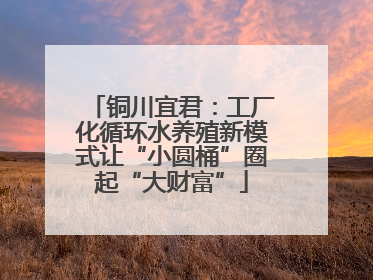 铜川宜君：工厂化循环水养殖新模式让“小圆桶”圈起“大财富”