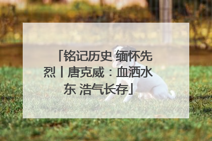 铭记历史 缅怀先烈丨唐克威：血洒水东 浩气长存