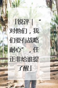 锐评｜“对他们，我们要有战略耐心”，任正非给谁提了醒