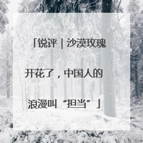 锐评｜沙漠玫瑰开花了，中国人的浪漫叫“担当”
