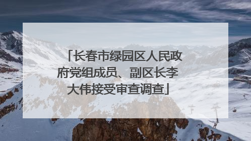 长春市绿园区人民政府党组成员、副区长李大伟接受审查调查