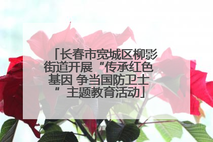 长春市宽城区柳影街道开展“传承红色基因 争当国防卫士”主题教育活动