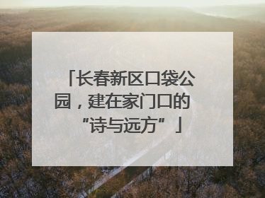 长春新区口袋公园，建在家门口的“诗与远方”