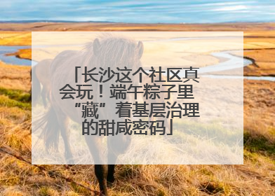 长沙这个社区真会玩！端午粽子里“藏”着基层治理的甜咸密码