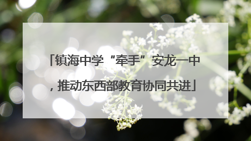 镇海中学“牵手”安龙一中，推动东西部教育协同共进