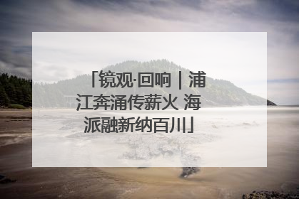 镜观·回响｜浦江奔涌传薪火 海派融新纳百川
