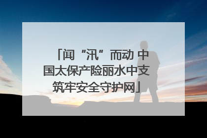 闻“汛”而动 中国太保产险丽水中支筑牢安全守护网
