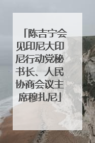 陈吉宁会见印尼大印尼行动党秘书长、人民协商会议主席穆扎尼