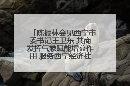 陈振林会见西宁市委书记王卫东 共商发挥气象赋能增益作用 服务西宁经济社会高质量发展