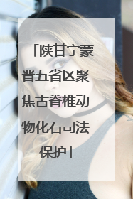 陕甘宁蒙晋五省区聚焦古脊椎动物化石司法保护