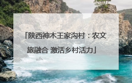 陕西神木王家沟村：农文旅融合 激活乡村活力