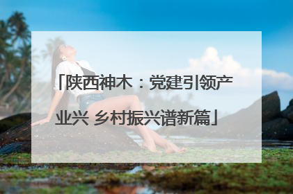 陕西神木：党建引领产业兴 乡村振兴谱新篇