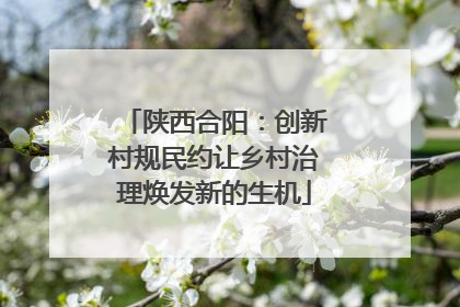 陕西合阳：创新村规民约让乡村治理焕发新的生机