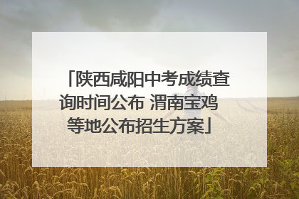 陕西咸阳中考成绩查询时间公布 渭南宝鸡等地公布招生方案
