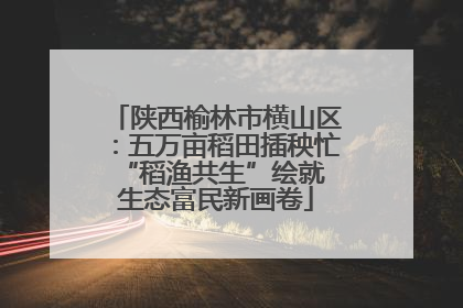 陕西榆林市横山区：五万亩稻田插秧忙 “稻渔共生”绘就生态富民新画卷