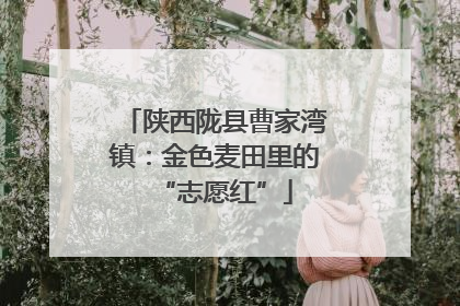 陕西陇县曹家湾镇：金色麦田里的“志愿红”