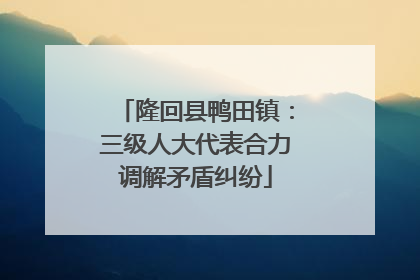 隆回县鸭田镇：三级人大代表合力调解矛盾纠纷
