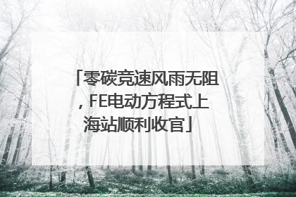 零碳竞速风雨无阻，FE电动方程式上海站顺利收官
