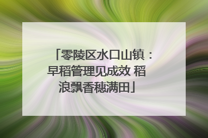 零陵区水口山镇：早稻管理见成效 稻浪飘香穗满田
