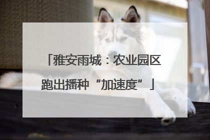 雅安雨城：农业园区跑出播种“加速度”