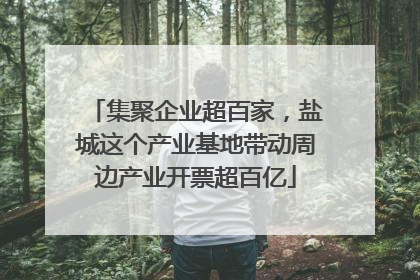 集聚企业超百家，盐城这个产业基地带动周边产业开票超百亿