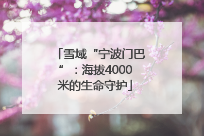 雪域“宁波门巴”：海拔4000米的生命守护