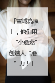 雪域高原上，他们用“小蘑菇”创造大“蘑”力！