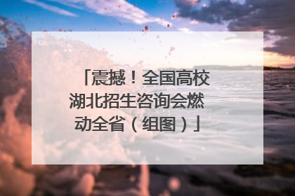 震撼！全国高校湖北招生咨询会燃动全省（组图）
