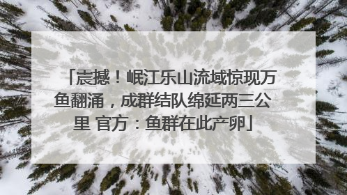 震撼！岷江乐山流域惊现万鱼翻涌，成群结队绵延两三公里 官方：鱼群在此产卵