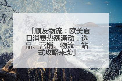 顺友物流：欧美夏日消费热潮涌动，选品、营销、物流一站式攻略来袭