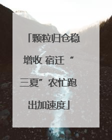 颗粒归仓稳增收 宿迁“三夏”农忙跑出加速度