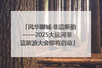风华聊城·非遗新韵——2025大运河非遗旅游大会即将启幕