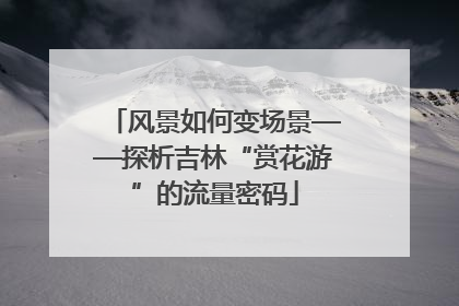 风景如何变场景——探析吉林“赏花游”的流量密码