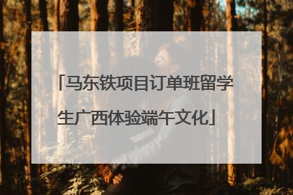 马东铁项目订单班留学生广西体验端午文化