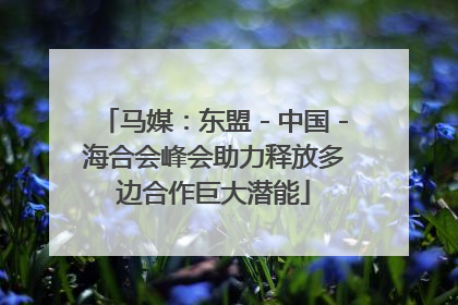 马媒：东盟－中国－海合会峰会助力释放多边合作巨大潜能
