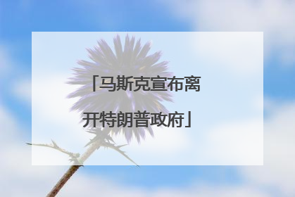 马斯克宣布离开特朗普政府