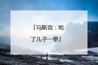 马斯克：吃了儿子一拳