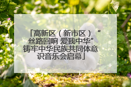 高新区（新市区）“丝路回响 爱我中华”铸牢中华民族共同体意识音乐会启幕