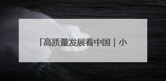 高质量发展看中国｜小小大蒜种出“辣”经济