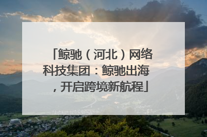 鲸驰（河北）网络科技集团：鲸驰出海，开启跨境新航程