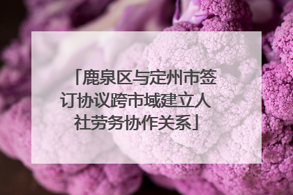 鹿泉区与定州市签订协议跨市域建立人社劳务协作关系