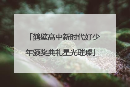 鹤壁高中新时代好少年颁奖典礼星光璀璨