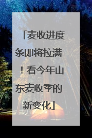 麦收进度条即将拉满！看今年山东麦收季的新变化