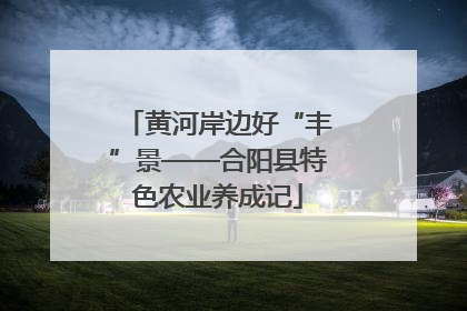 黄河岸边好“丰”景——合阳县特色农业养成记