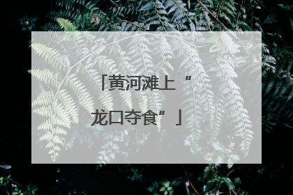 黄河滩上“龙口夺食”