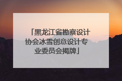 黑龙江省勘察设计协会冰雪创意设计专业委员会揭牌