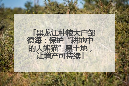 黑龙江种粮大户邹德海：保护“耕地中的大熊猫”黑土地，让增产可持续