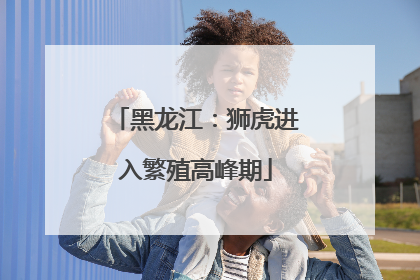 黑龙江：狮虎进入繁殖高峰期