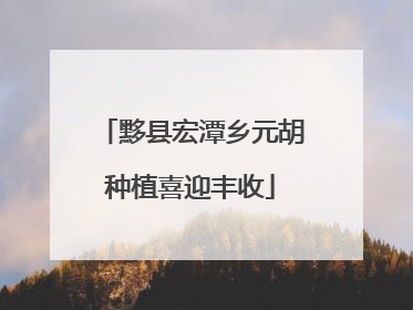 黟县宏潭乡元胡种植喜迎丰收
